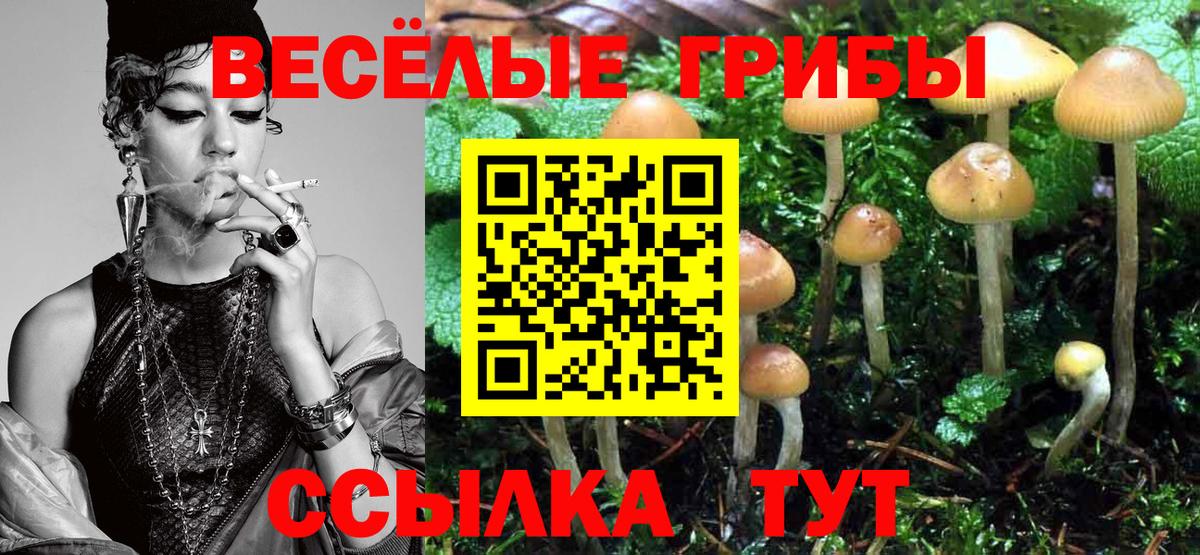 Галлюциногенные грибы ЛСД  Псилоцибиновые грибы Psilocybine cubensis  Вход с VPN  Сафоново 